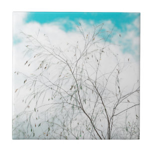 Blasses Pastell Hellblau Türkis Baum Äste Himmel Fliese