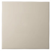 Blasses Taupe Keramik Tile. Fliese (Vorderseite)