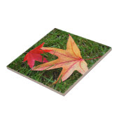 Blassfarbenes Ahornleaf Fliese (Seite)
