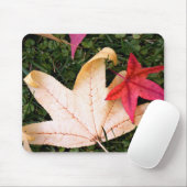 Blassfarbenes Ahornleaf Mousepad (Mit Mouse)