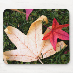 Blassfarbenes Ahornleaf Mousepad