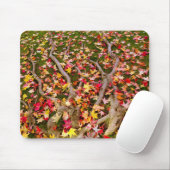 Blassfarbenes Ahornleaf Mousepad (Mit Mouse)