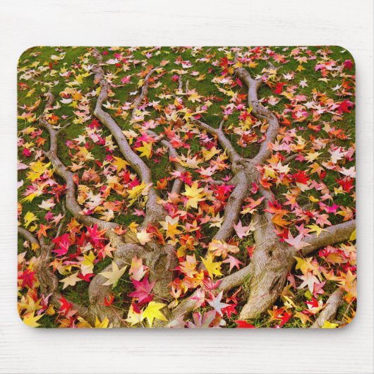 Blassfarbenes Ahornleaf Mousepad (Vorne)