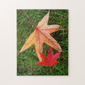 Blassfarbenes Ahornleaf Puzzle (Vertikal)