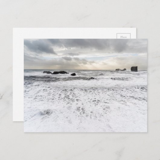 Blassfoamische Meeresfrüchte, Island Postkarte (Vorne/Hinten)