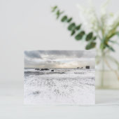 Blassfoamische Meeresfrüchte, Island Postkarte (Stehend Vorderseite)