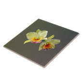 Blassgelbe Cattleya Orchias Tile Fliese (Seite)