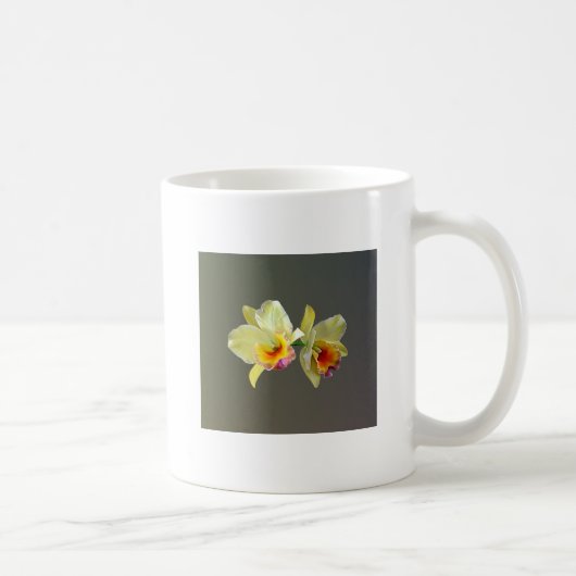 Blassgelbe Cattleya Orchids Tasse (Rechts)