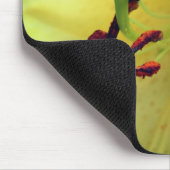 Blassgelbe Lilie Blume Nah Mousepad (Ecke)