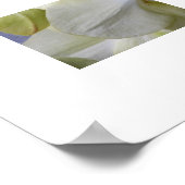 Blassgelbe Motte Orchius florale Poster (Ecke)