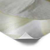 Blassgelbe Phalaenopsis Orchideen Fotodruck (Ecke)