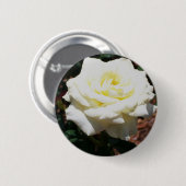 Blassgelbe Rose Button (Vorne & Hinten)