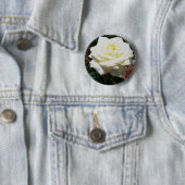 Blassgelbe Rose Button (Beispiel)