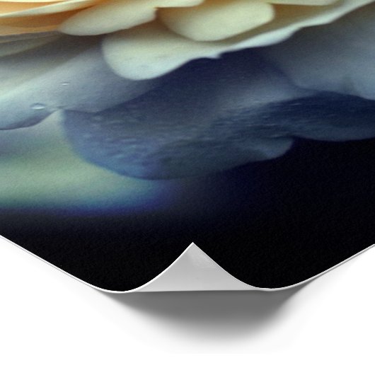 Blassgelbe Rose im Blutspiegel Abstrakt Poster (Ecke)