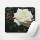 Blassgelbe Rose Mousepad (Mit Mouse)