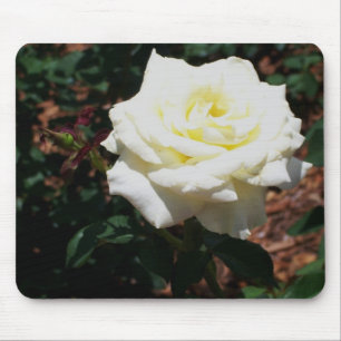 Blassgelbe Rose Mousepad