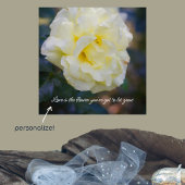 Blassgelbe Rose  Poster