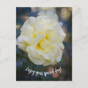 Blassgelbe Rose Postkarte