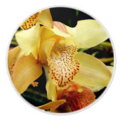 Blassgelbes Cymbidium Orchid Keramik Knochen Keramikknauf (Vorderseite)