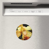Blassgelbes Cymbidium Orchid Magnet (In Situ (Geschirrspüler))