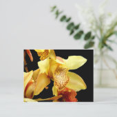 Blassgelbes Cymbidium Orchidee Postkarte (Stehend Vorderseite)