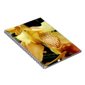 Blassgelbes Cymbidium Orchideen-Foto-Notebook Notizblock (Rechte Seite)