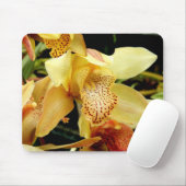 Blassgelbes Cymbidium Orchideenmatte Mousepad (Mit Mouse)