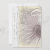 Blassgelbes Daisy-Makro auf abgerissenem Randpapie Einladung (Vorderseite)