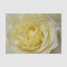 Blassgelbes Rosenpapier Seidenpapier