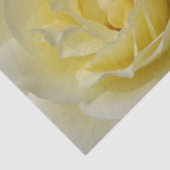 Blassgelbes Rosenpapier Seidenpapier (Ausschnitt)