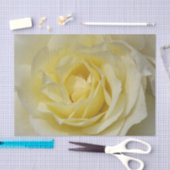 Blassgelbes Rosenpapier Seidenpapier (Handwerk)