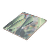 Blassgrüne Eukalyptus-Tree-Blätter Fliese (Seite)