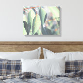 Blassgrüne Eukalyptus-Tree-Blätter Leinwanddruck (Insitu (Schlafzimmer))
