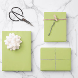 Blassgrüne Frühlings- und Sommer-Trendfarbe Geschenkpapier Set