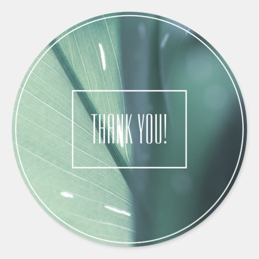 Blassgrüne Leaf-Pflanze Danke, Aufkleber (Vorderseite)