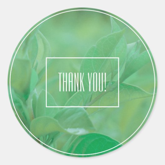 Blassgrüne Leaf-Pflanze Danke, Aufkleber (Vorderseite)