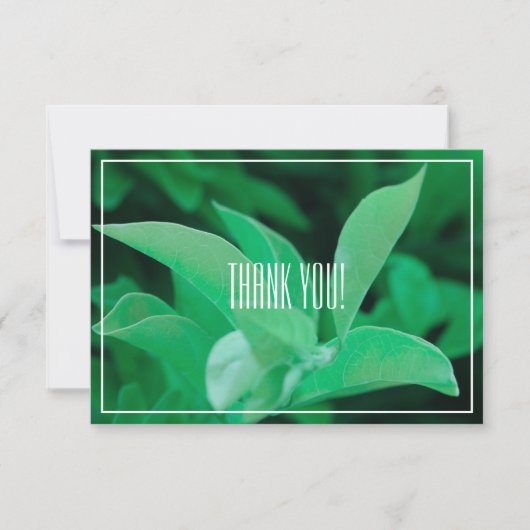Blassgrüne Leaf-Pflanze Danke, Flachkarte (Vorderseite)