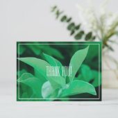 Blassgrüne Leaf-Pflanze Danke, Flachkarte (Stehend Vorderseite)