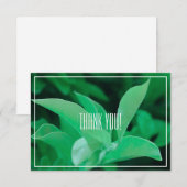 Blassgrüne Leaf-Pflanze Danke, Flachkarte (Vorne/Hinten)