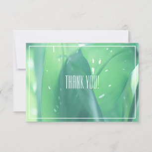 Blassgrüne Leaf-Pflanze Danke, Flachkarte