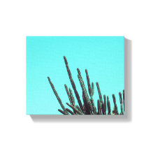 Blassgrüner Kakteen Sukkulente Pflanze Minimalismu