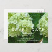 Blassgrünes Hydrangea Save the Date Postkarte (Vorne/Hinten)