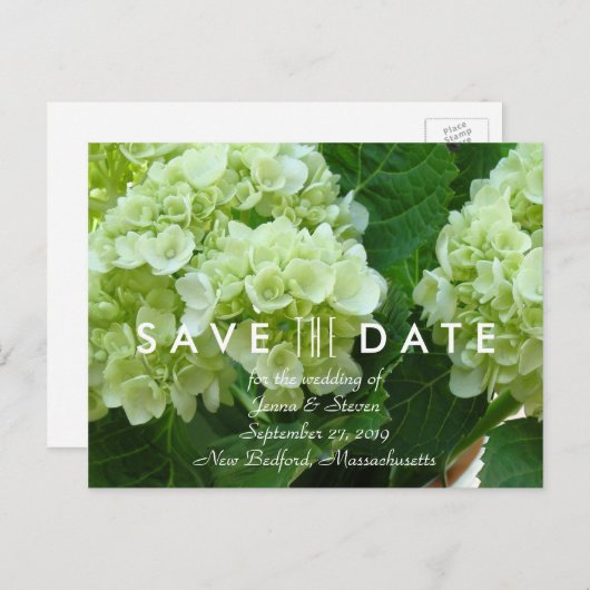 Blassgrünes Hydrangea Save the Date Postkarte (Vorne/Hinten)