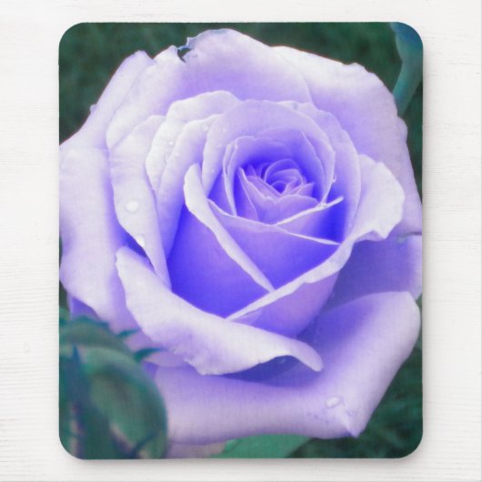 Blasslavender Rose Mouse-Pad Mousepad (Vorne)