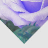 Blasslavender-Rose Seidenpapier (Ausschnitt)