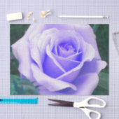 Blasslavender-Rose Seidenpapier (Handwerk)