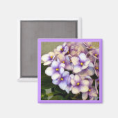 Blasslavender Violets Magnet (Vorderseite/Rückseite)