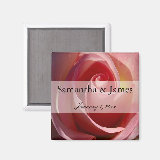 Blassmond-Rose Magnet (Vorderseite/Rückseite)