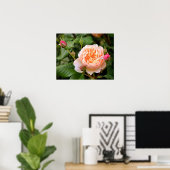 Blassorange Rose und Buds Poster (Heimbüro)