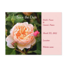 Blassorange Rose und Buds Save the Date